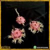 Pink Red Gajra Earring Teeka Set Online Best Price In Pakistan