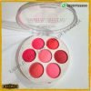 7 in 1 Professional Blush Palette Best Price In Pakistan