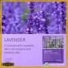 Lavender Face Sheet Mask Online At Best Price In Pakistan