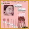 Mini Travel Makeup Brush Set Online In Pakistan